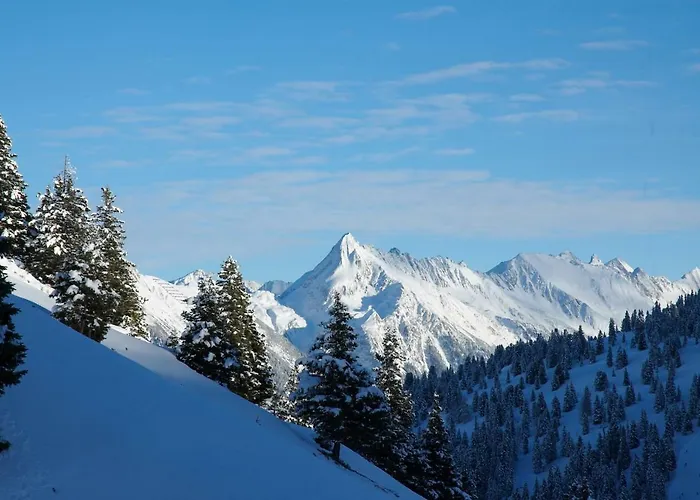 Gaestehaus Elisabeth 3*