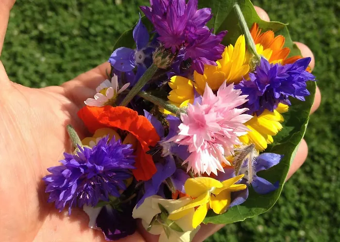 Gaestehaus Elisabeth Bed & Breakfast