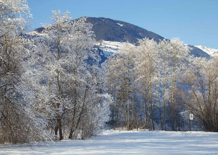 Gaestehaus Elisabeth Bed and breakfast Mayrhofen