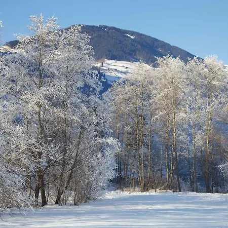 Gaestehaus Elisabeth Panzió Mayrhofen